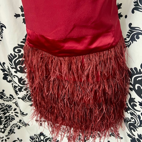 Ark & Co Burgundy Feathered Mini Dress NWT - Picture 2 of 7